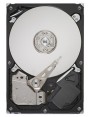 Dysk twardy Seagate ST31000528AS 1000 GB SATA II 3,5"