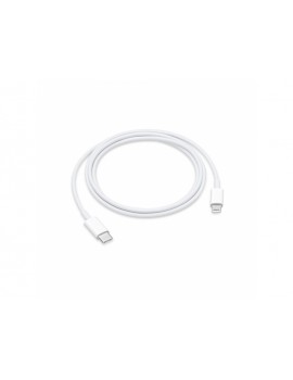 Kabel LIGHTNING/USB-C 1.0m APPLE biały