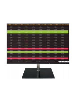 MONITOR 24” EIZO FLEXSCAN E2456 IPS LED 16:10 DP