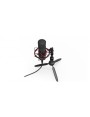 Mikrofon ENDORFY Solum T (SM900T)