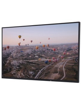 EIZO FlexScan EV2456