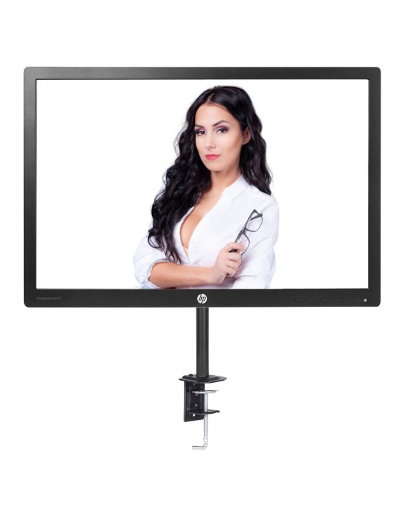MONITOR HP E242 24” LED IPS HDMI VGA DP USB WUXGA KLASA A