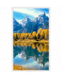 MONITOR 27″ NEC EA275WMi IPS USB QHD 2560x1440