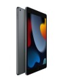 APPLE iPad 10.2" 256GB Gray A13