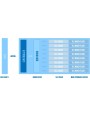 Dysk SSD Silicon Power A55 256GB