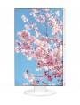 BEZRAMKOWY MONITOR 24” EIZO FlexScan EV2450 LED IPS HDMI FULL HD 1920x1080 KLASA A